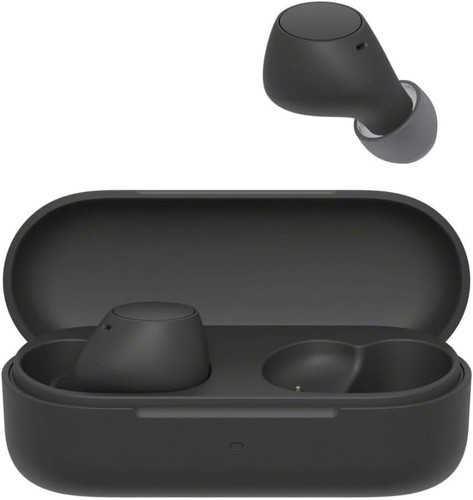 Sony c510 truly wireless - sony,